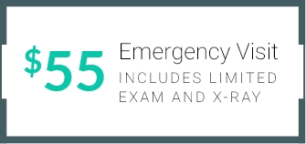 $99 emergency dental visit special